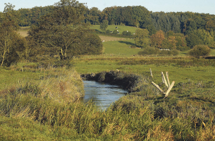 Wanderung im Eidertal