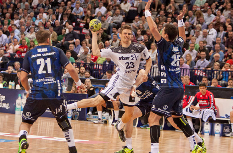 Zebras machen sich bereit