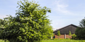 Engagierte Diskussionen