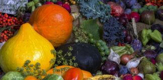 Obst und Gemüse zur rechten Zeit essen
