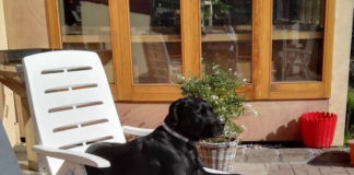 Konsequenz und Geduld