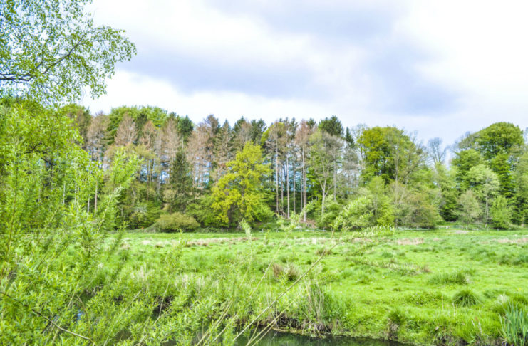 Wanderweg an der Eider gesperrt