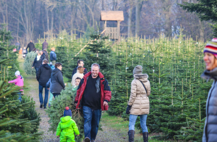 Ein Familienerlebnis