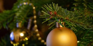 Wohin mit der Tanne?