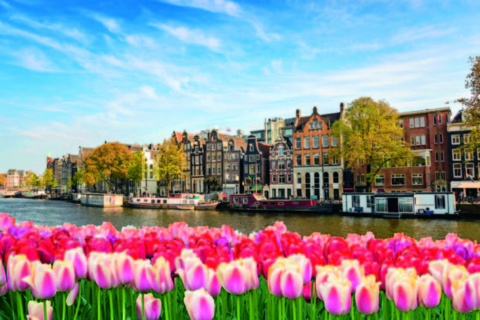 Amsterdam city skyline at canal waterfront with spring tulip flower, Amsterdam, Netherlands