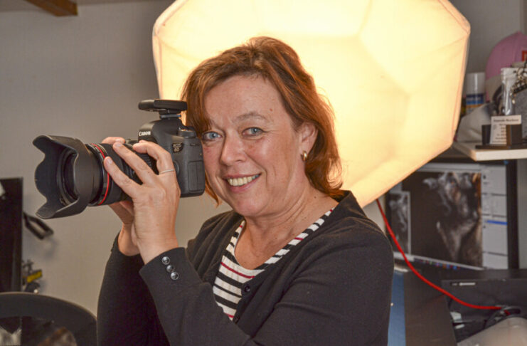 Professionelle Fotos mit Atmosphäre