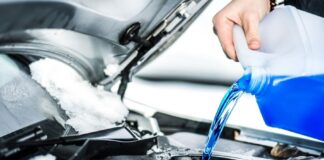 Wintercheck – bevor der Frost kommt