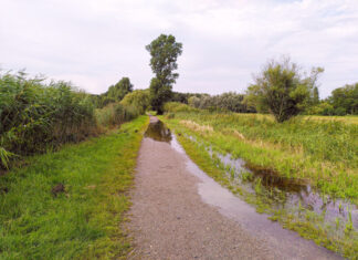 Mühsame Suche nach dem richtigen Weg