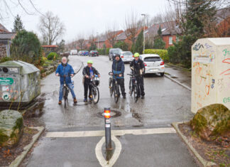 Spreeallee als Fahrradstraße?