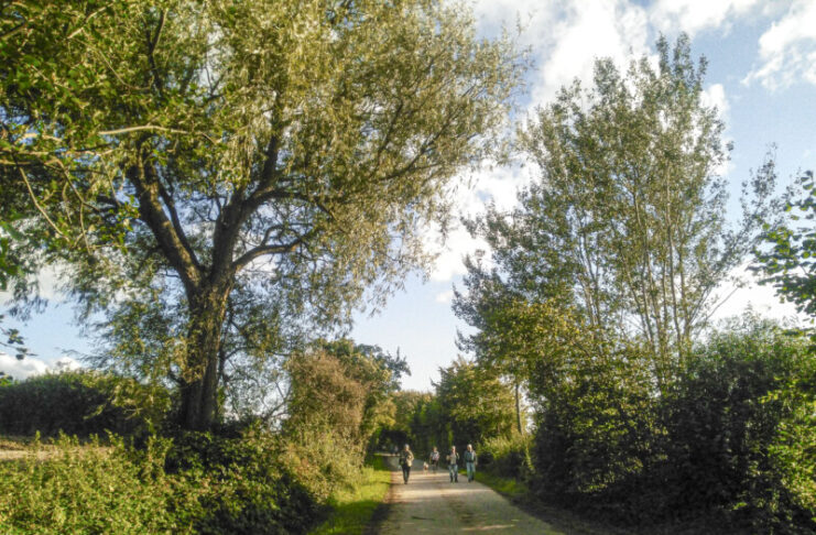 Zu Fuß in die Natur um Flintbek