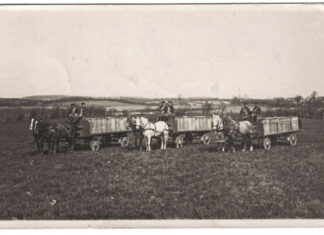 Müllabfuhr per Pferdefuhrwerk