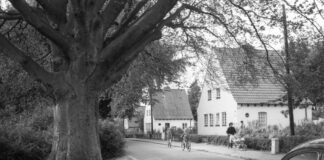 100 Jahre Siedlung Hammer