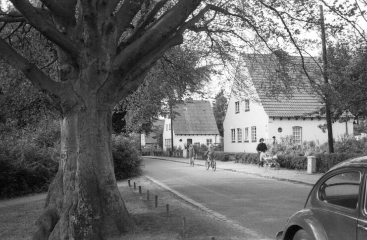 100 Jahre Siedlung Hammer