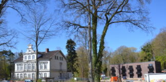 Genehmigte Baumfällungen auf Hof Hammer