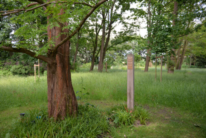 Waldgrab auf dem Nordfriedhof