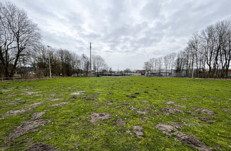 Rasenplatz in Russee