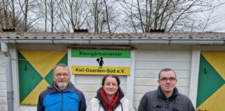 kgv-vorstand