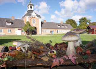 Gelände des Herbstmarktes