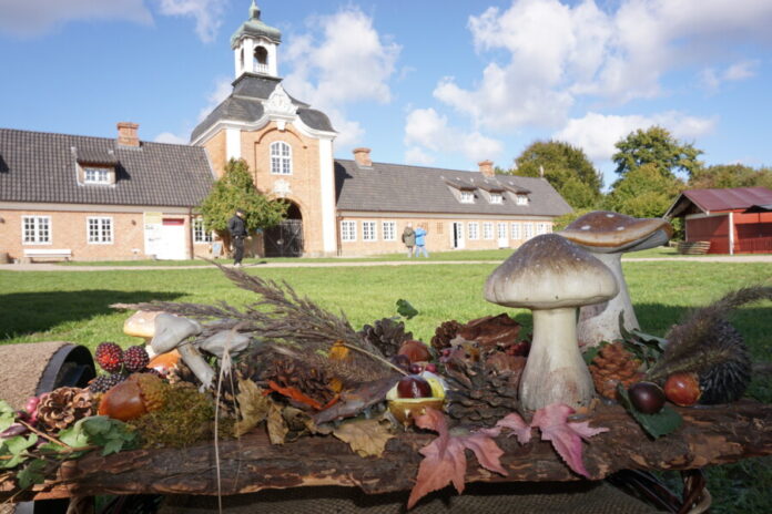 Gelände des Herbstmarktes