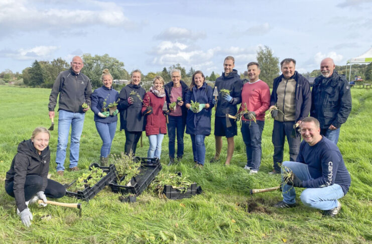 Hotspot für Wildbienen und Schmetterlinge Pflanzaktion Molfsee