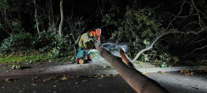 Feuerwehr Kronshagen