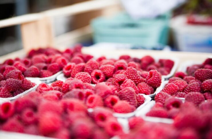 Sommerzeit ist Himbeerzeit