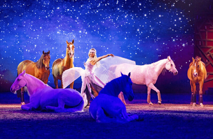 Ein Feuerwerk der Emotionen