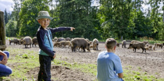 Naturerlebnisse im Wald
