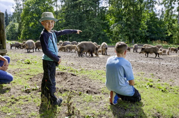 Naturerlebnisse im Wald