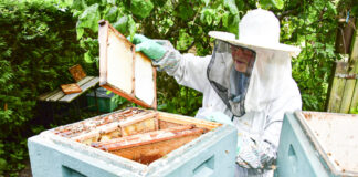 Zu Besuch bei einer Königin