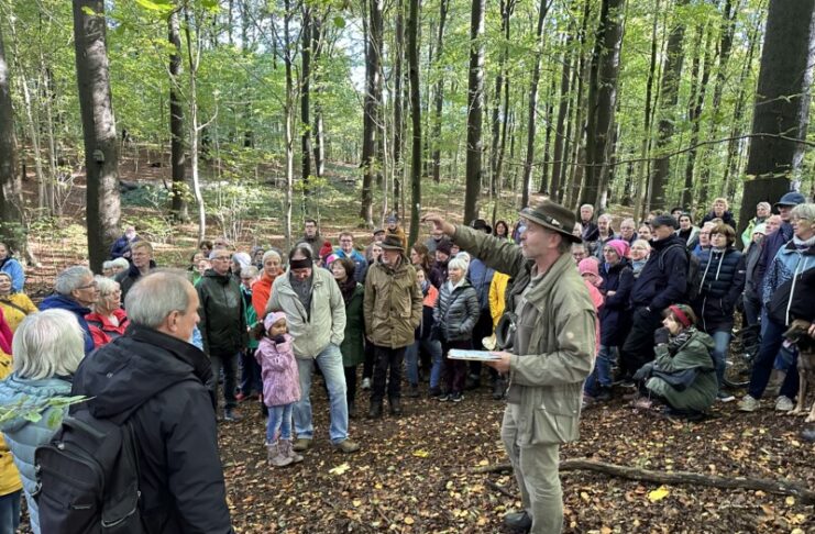 Mit dem Förster durch das Vieburger Gehölz