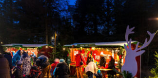 Waldweihnacht – das Fest der über 1000 Lichter