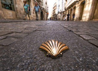 Ein besonderes Erlebnis