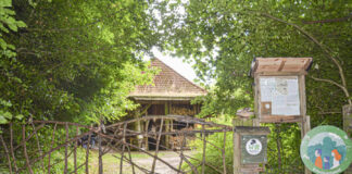 Waldhaus e. V. am Hornheimer Weg 98