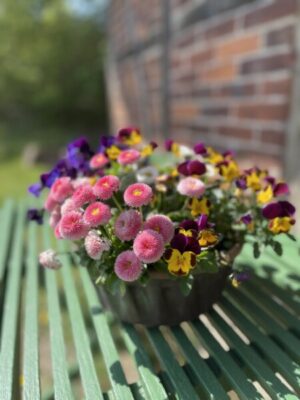 Blumenkübel im Freilichtmuseum Molfsee