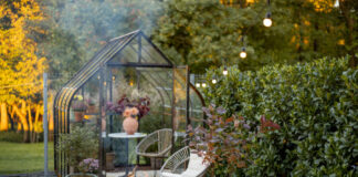 Garten mit Gewächshaus