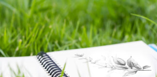 Die Natur erleben Mit dem Skizzenbuch unterwegs in der Natur