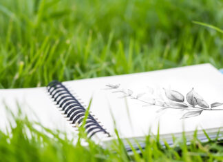 Mit dem Skizzenbuch unterwegs in der Natur