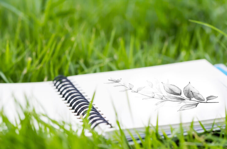 Mit dem Skizzenbuch unterwegs in der Natur