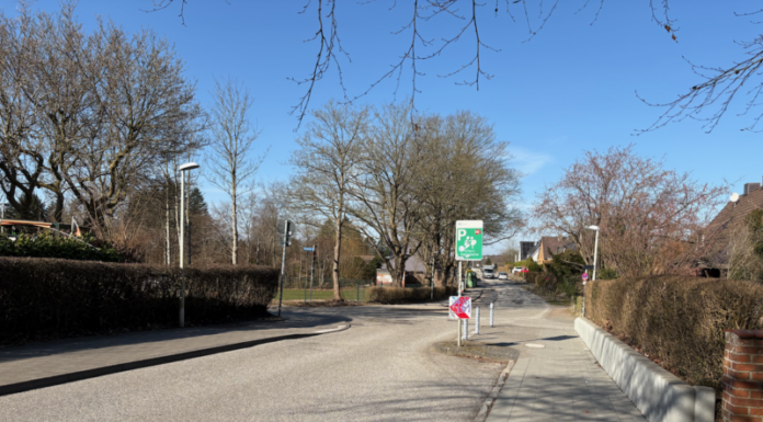 Weg zum Skatepark Wellsee