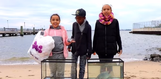 Filmpräsentation für eine bessere Welt drei-kinder-am-strand-mit-aquarien