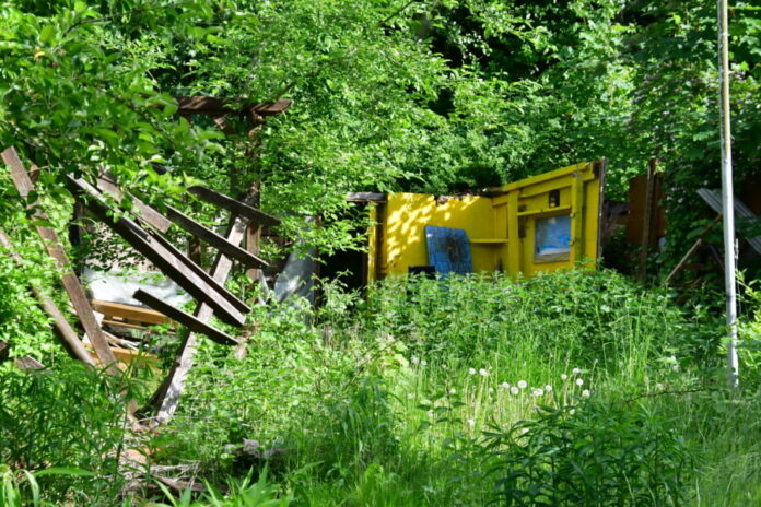 Überwucherte Parzelle im ehemaligen Kleingartengebiet Baumwegkoppel