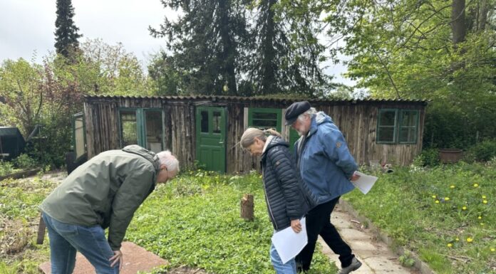 Birger Kulbe stellvertretender Vorsitzender des Kleingartenvereins und Hobbyhistoriker Heidi Kjär und Bernd Vesper begutachten den rätselhaften Schacht im Vieburger Gehölz