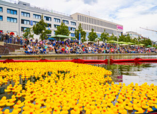 Kieler Entenrennen 2026: Jubiläum am Bootshafen Kieler Entenrennen 2026 Gummienten in der Kieler Förde