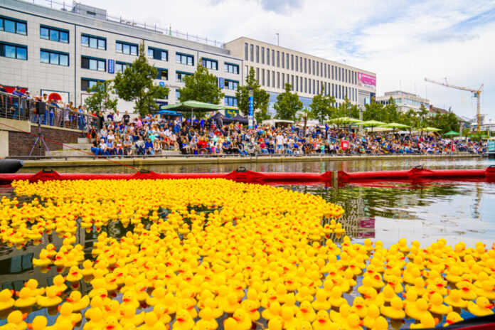 Kieler Entenrennen 2026 Gummienten in der Kieler Förde
