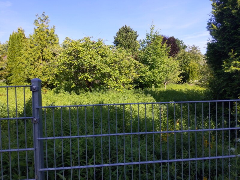 Kleingärten auf Mülldeponie: Ein massiver Zaun schützt die Menschen heute vor der Umwelt. Noch vor gut acht Jahren gärtnerten Familien auf diesen Parzellen arglos auf hoch vergiftetem Gartenland, obwohl der Stadtverwaltung die Gefahr seit über 30 Jahren bekannt war.