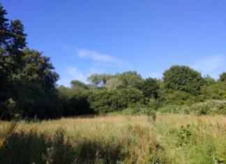 Kleingärten auf ehemaliger Mülldeponie: Neelsen-Koppel I Kleingärten auf Mülldeponie: Diese unscheinbare Wiese liegt auf dem heute toxisch schwer belasteten ehemaligen Betriebsgelände Neelsen und ist für jegliche Nutzung nicht mehr geeignet.