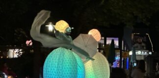 Kieler Museumsnacht 2026 Am 28. August gibt es Aktionen in ganz Kiel. Mit etwas Glück finden Sie diese auf der Straße.