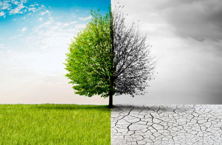 1,5-Grad-Ziel noch erreichbar? Vortrag zu Klimawandel 1,5-Grad-Ziel Klimawandel Kronshagen