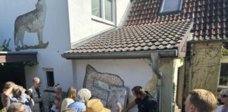 Günstige Dämmung fürs Haus: Kerndämmung spart Energie und Kosten Offene Baustelle zu günstiger Dämmung